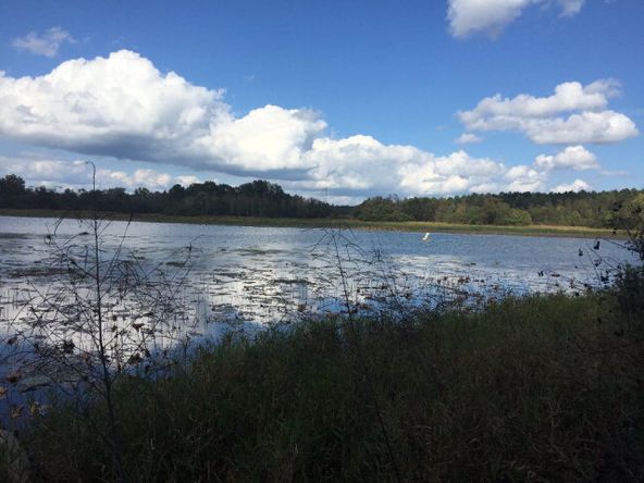 431 Us Hwy 431, Eufaula, AL 36027